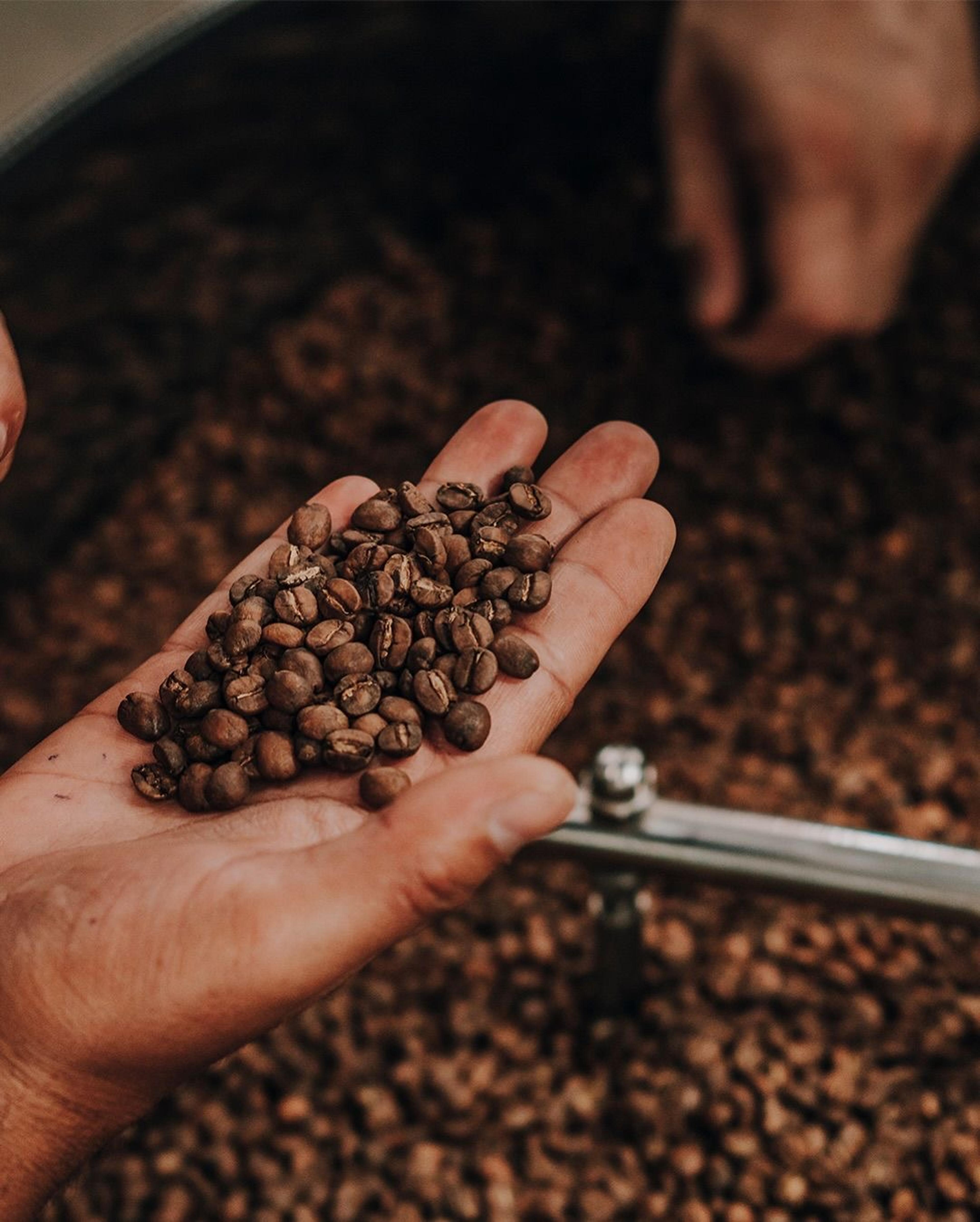 Colnativa portfolio2