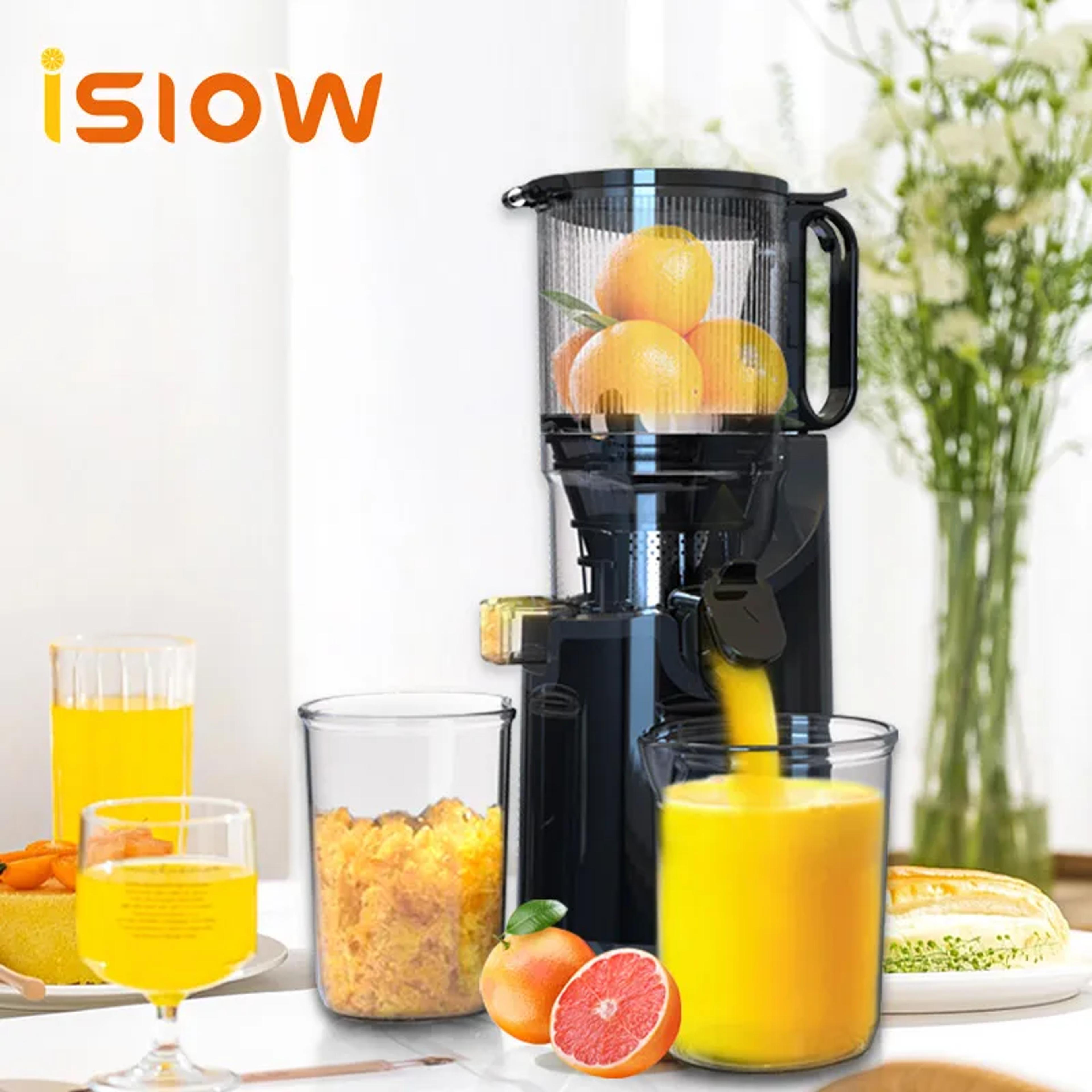 Premium Masticating Cold Press Juicer Extractor - Home Goods - by ...