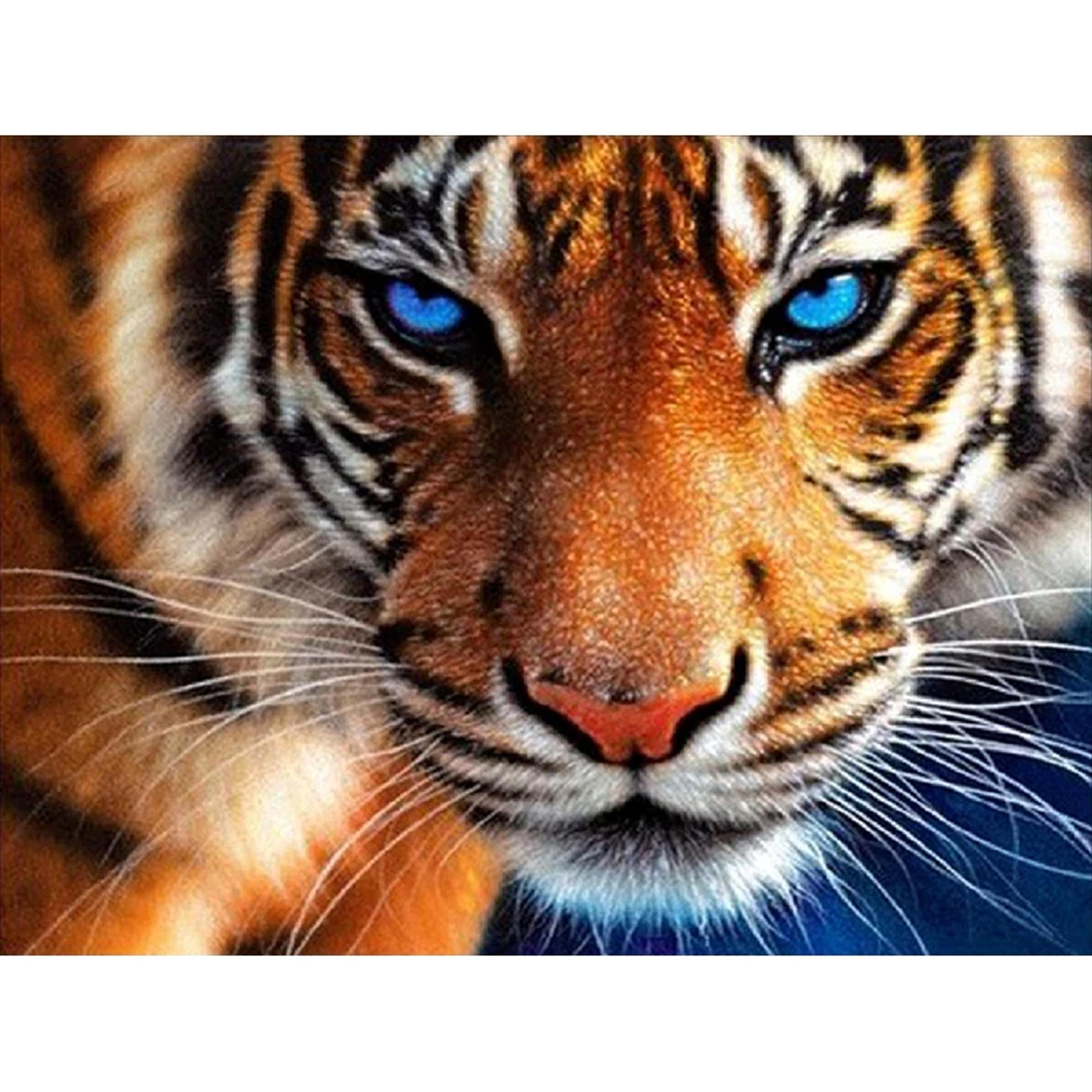 thumbnails