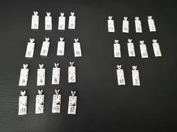 thumbnails